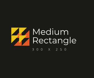 300 x 250